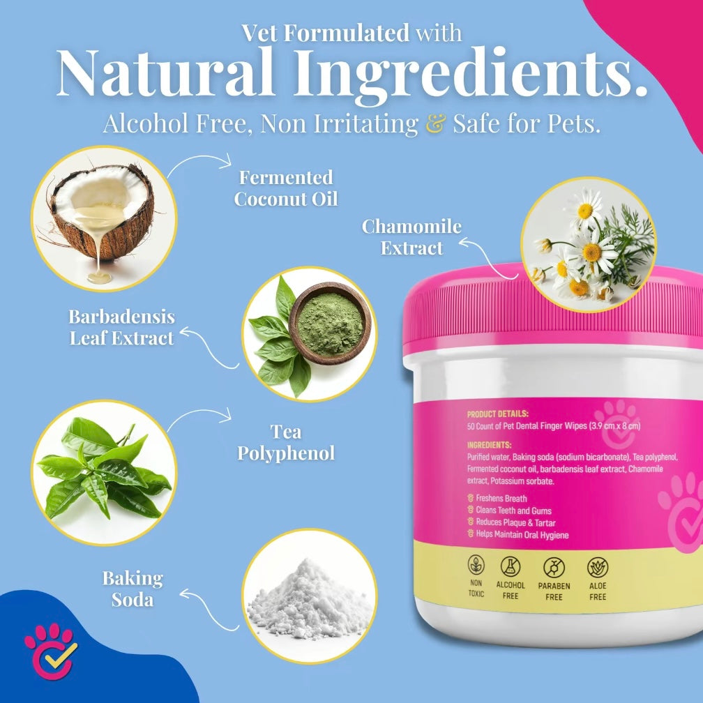 Dr. Paws Choice: Pet Care Finger Wipes for Dental and Ear Hygiene